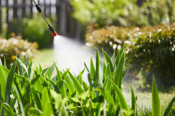 24/7 Emergency Mosquito Control experts in Latham, NY